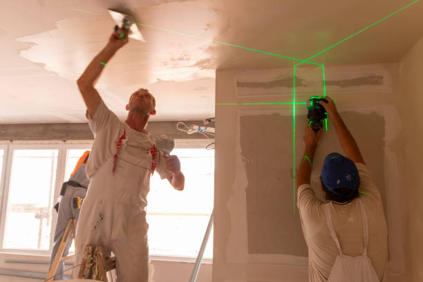 Best Drywall Crack Repair  in Salem, MO